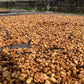 Easter Anaerobic Natural Blend